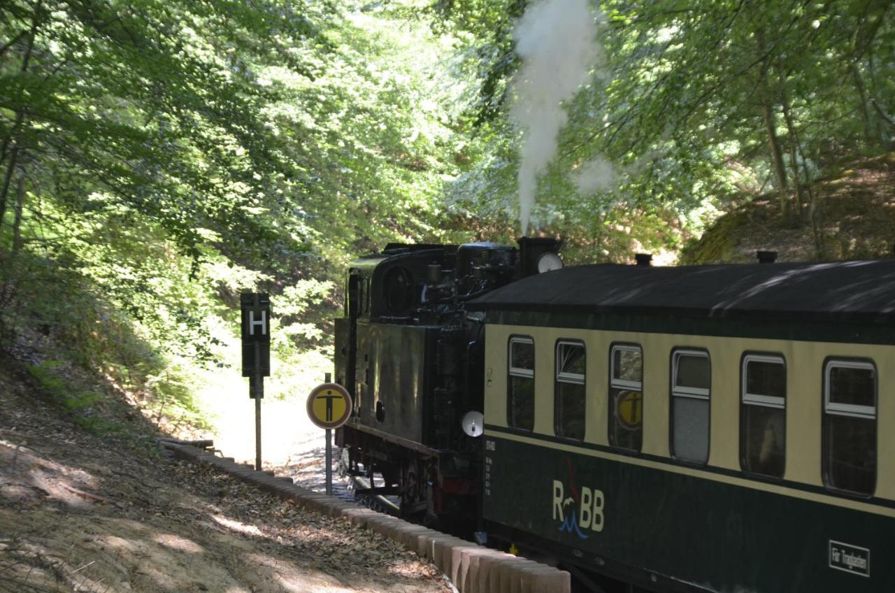 Meerforelle 207 - Villa Seeblick Sassnitz Dış mekan fotoğraf